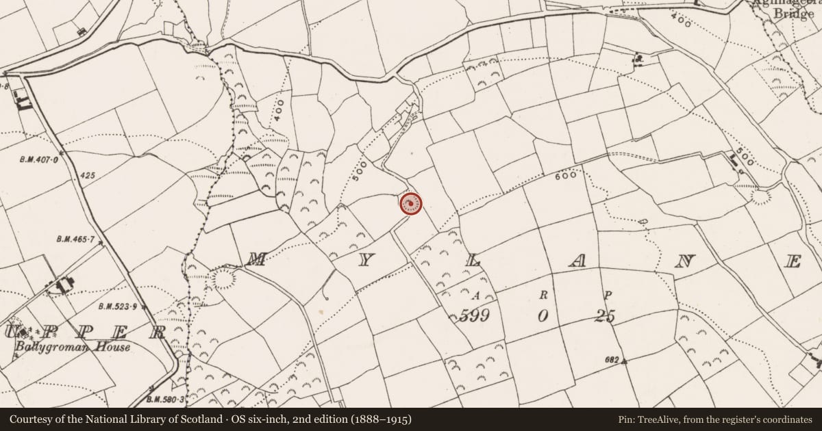Ordnance Survey six-inch map, 2nd edition (1888–1915) covering the location of Ringfort - rath, Mylane, County Cork, with a pin at the register's coordinates