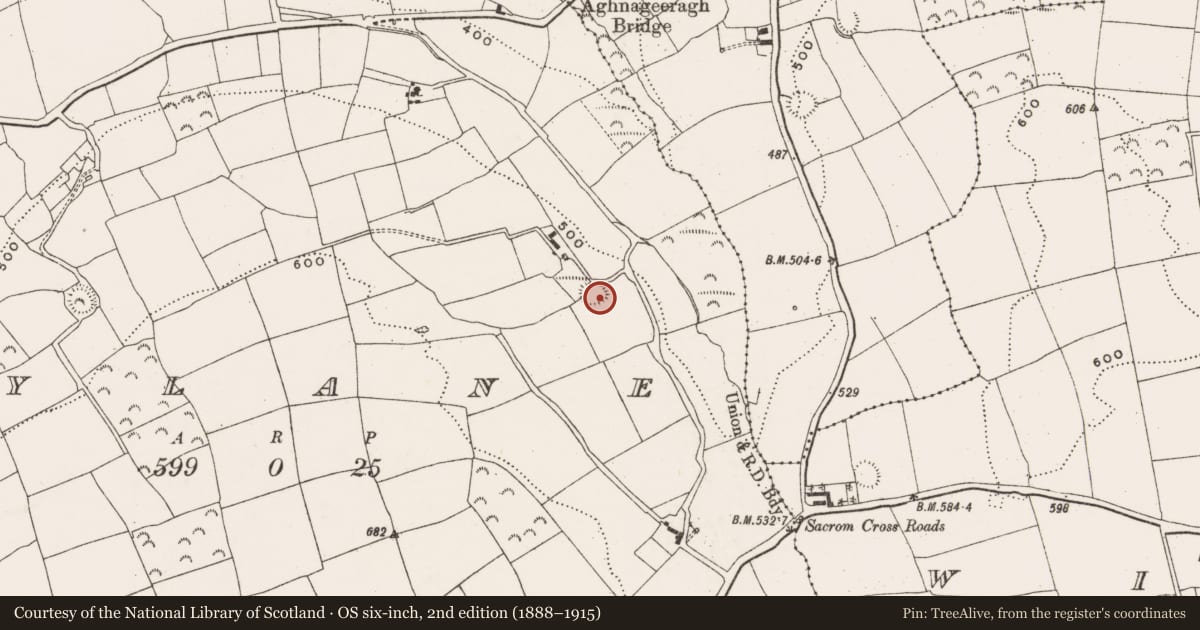 Ordnance Survey six-inch map, 2nd edition (1888–1915) covering the location of Ringfort - rath, Mylane, County Cork, with a pin at the register's coordinates