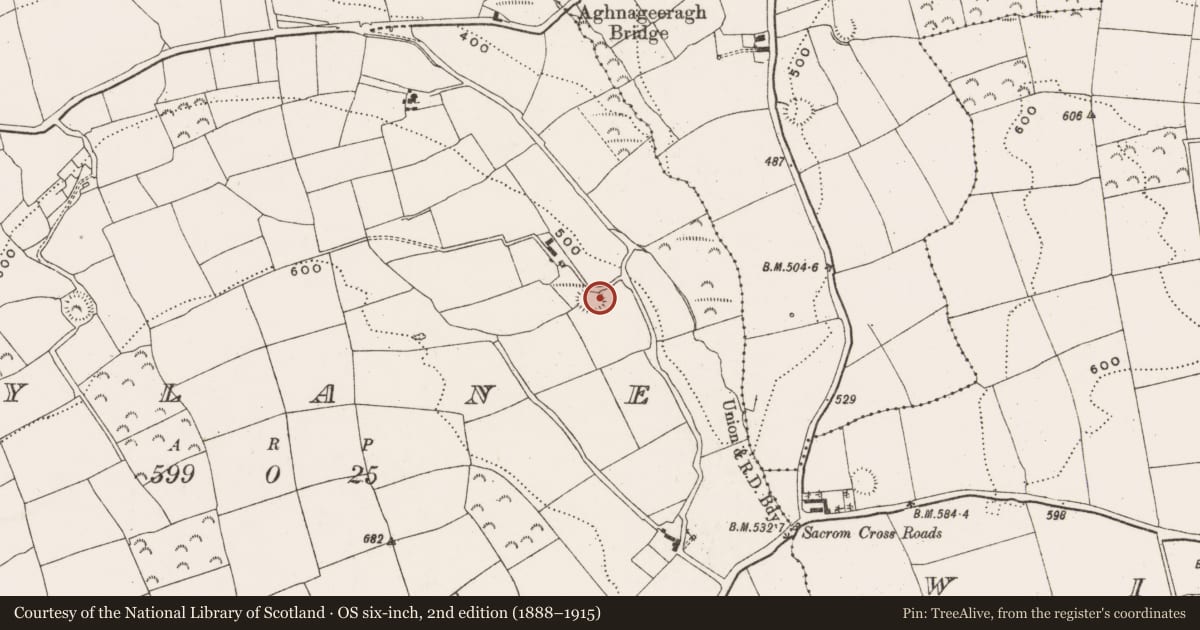 Ordnance Survey six-inch map, 2nd edition (1888–1915) covering the location of Souterrain, Mylane, County Cork, with a pin at the register's coordinates