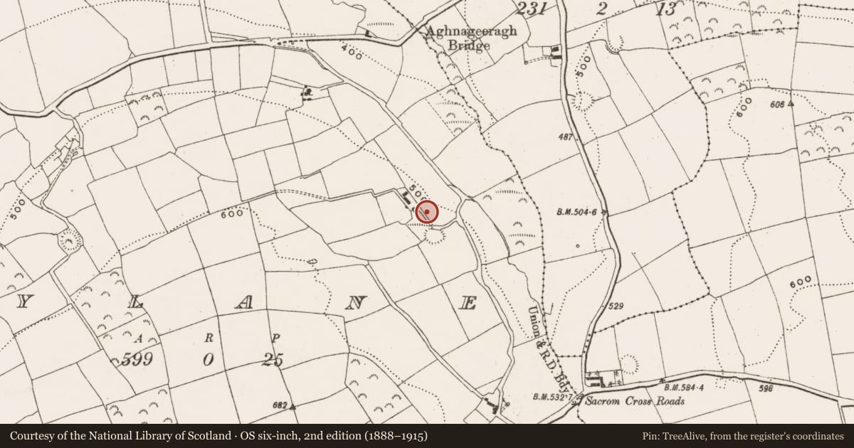 Ordnance Survey six-inch map, 2nd edition (1888–1915) covering the location of Burnt mound, Mylane, County Cork, with a pin at the register's coordinates