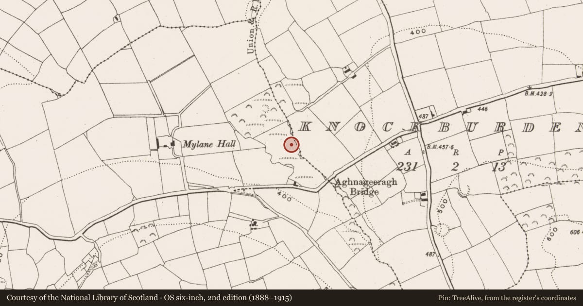 Ordnance Survey six-inch map, 2nd edition (1888–1915) covering the location of Fulacht fia, Mylane, County Cork, with a pin at the register's coordinates