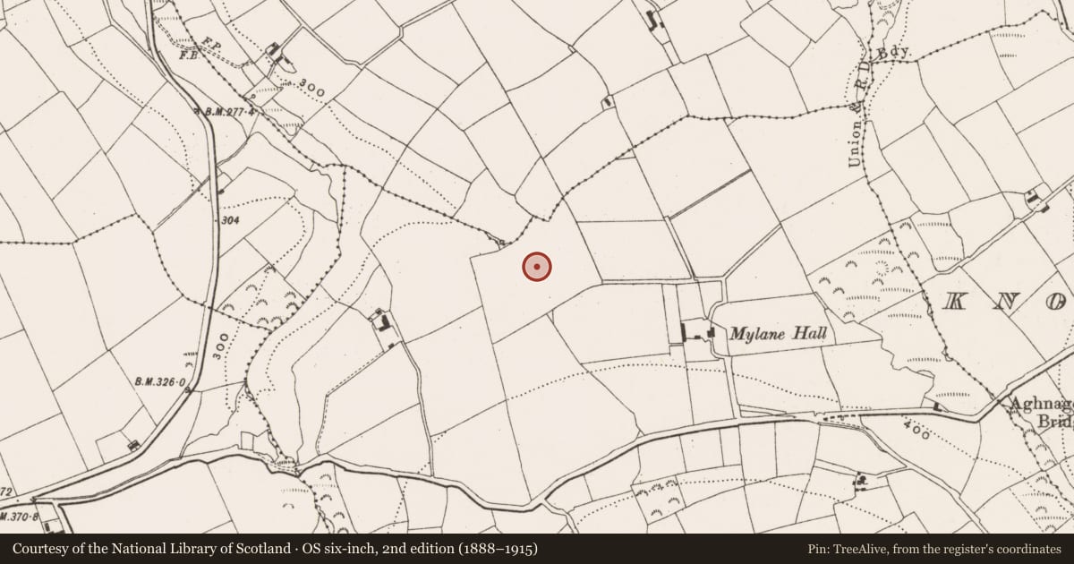Ordnance Survey six-inch map, 2nd edition (1888–1915) covering the location of Burial ground, Mylane, County Cork, with a pin at the register's coordinates