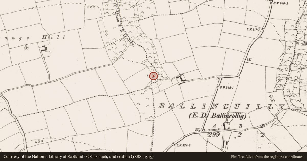 Ordnance Survey six-inch map, 2nd edition (1888–1915) covering the location of Ringfort - rath, Grange, County Cork, with a pin at the register's coordinates