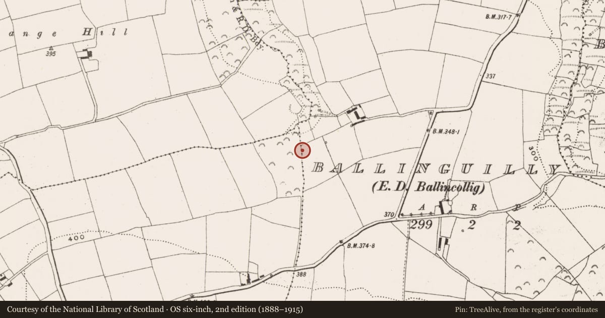 Ordnance Survey six-inch map, 2nd edition (1888–1915) covering the location of Fulacht fia, Knockburden, County Cork, with a pin at the register's coordinates