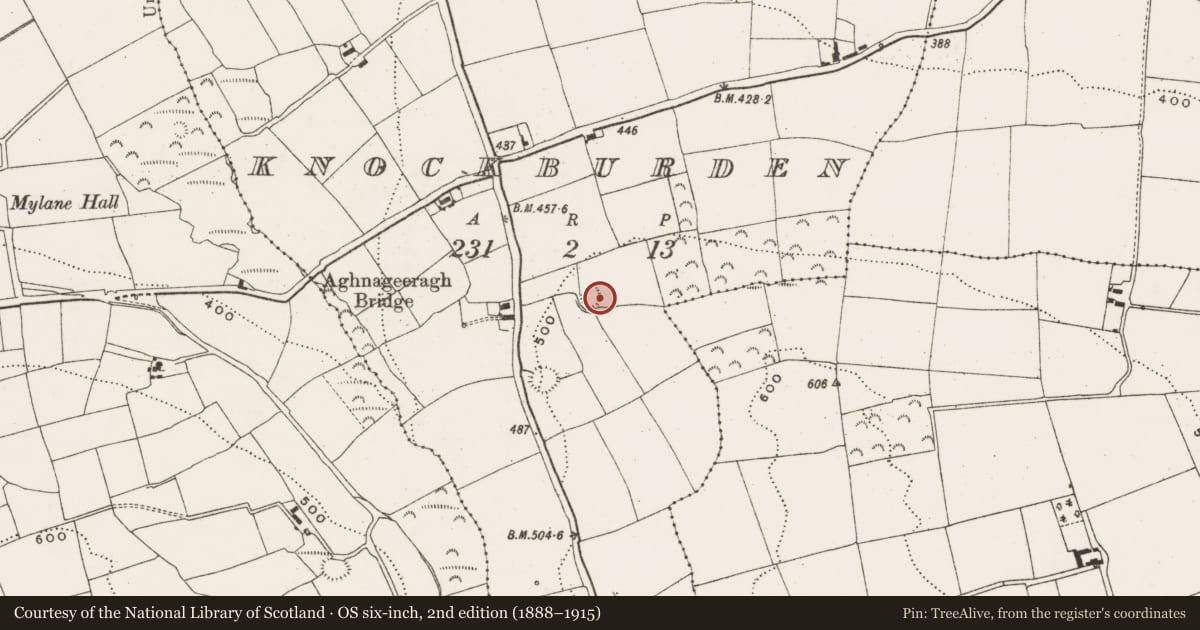 Ordnance Survey six-inch map, 2nd edition (1888–1915) covering the location of Ringfort - rath, Knockburden, County Cork, with a pin at the register's coordinates