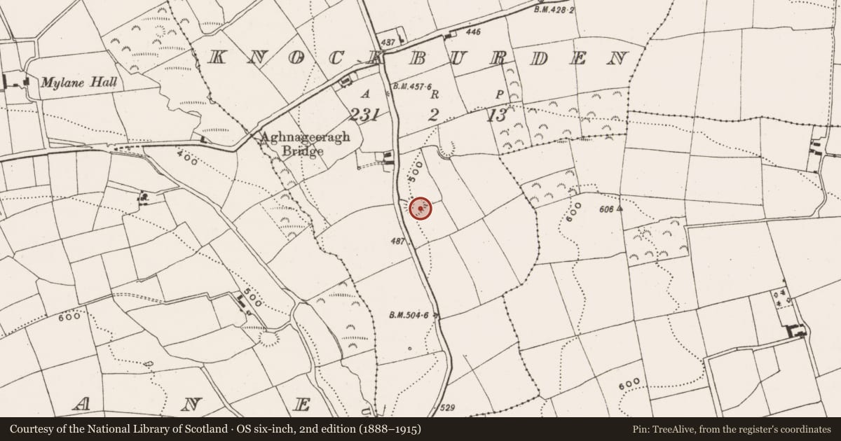 Ordnance Survey six-inch map, 2nd edition (1888–1915) covering the location of Ringfort - rath, Knockburden, County Cork, with a pin at the register's coordinates