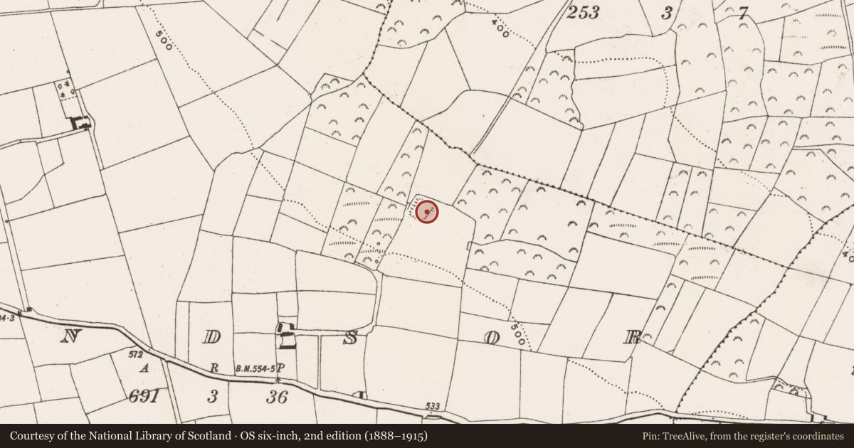 Ordnance Survey six-inch map, 2nd edition (1888–1915) covering the location of Moated site, Windsor, County Cork, with a pin at the register's coordinates