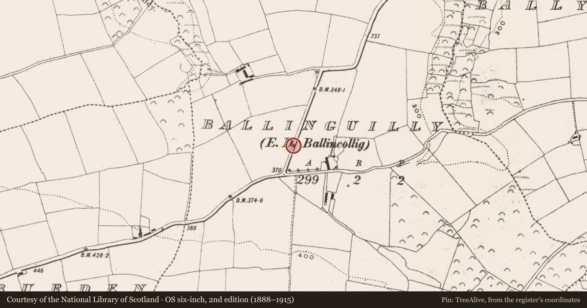 Ordnance Survey six-inch map, 2nd edition (1888–1915) covering the location of Quarry, Ballinguilly (Muskerry East By., Kilnaglory Par.), County Cork, with a pin at the register's coordinates