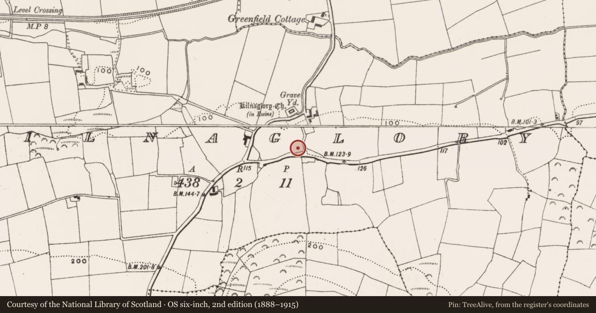 Ordnance Survey six-inch map, 2nd edition (1888–1915) covering the location of Ringfort - rath, Kilnaglory, County Cork, with a pin at the register's coordinates