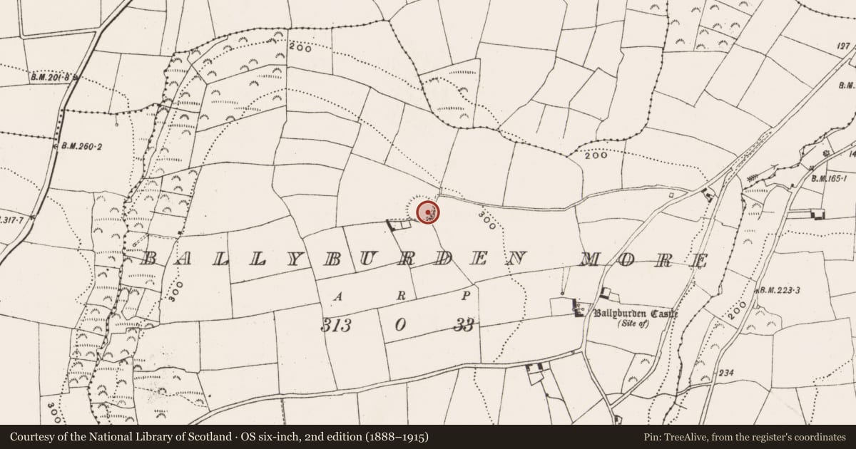 Ordnance Survey six-inch map, 2nd edition (1888–1915) covering the location of Ringfort - rath, Ballyburden More, County Cork, with a pin at the register's coordinates