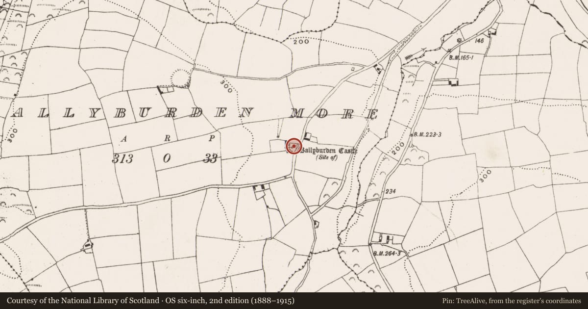 Ordnance Survey six-inch map, 2nd edition (1888–1915) covering the location of Castle - unclassified, Ballyburden More, County Cork, with a pin at the register's coordinates