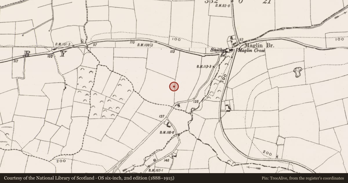 Ordnance Survey six-inch map, 2nd edition (1888–1915) covering the location of Ringfort - rath, Maglin, County Cork, with a pin at the register's coordinates