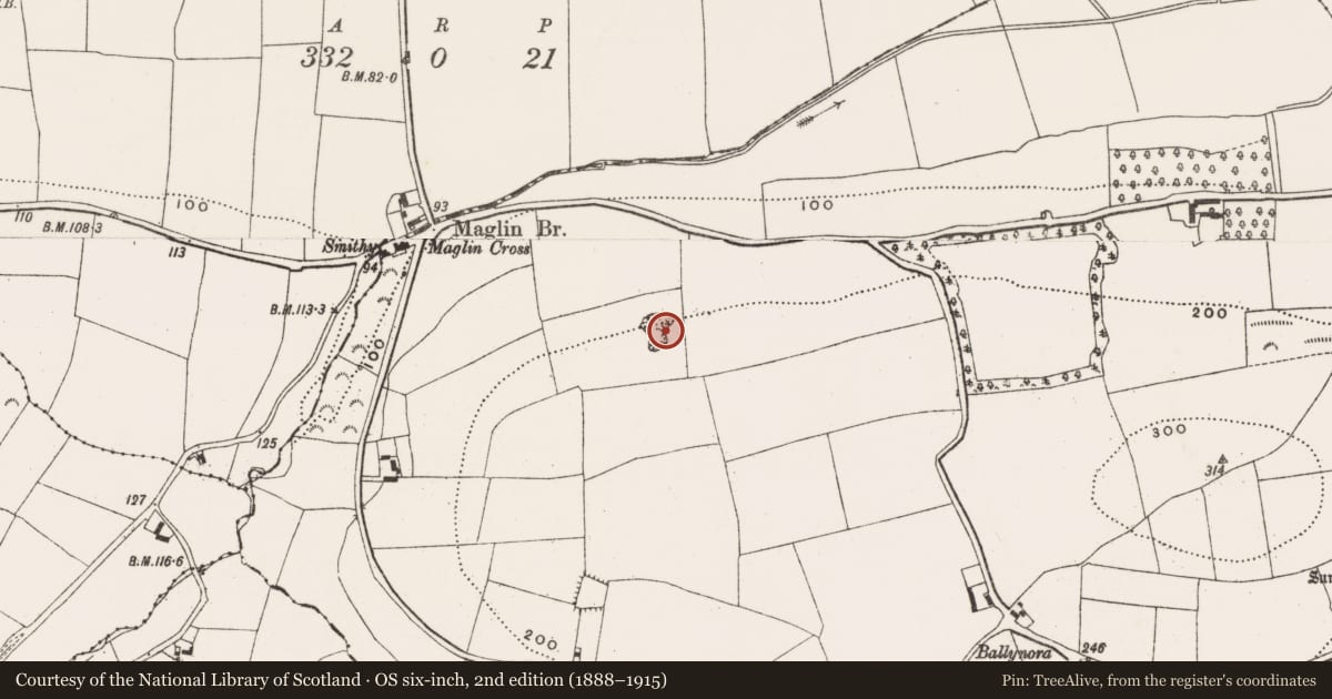 Ordnance Survey six-inch map, 2nd edition (1888–1915) covering the location of Quarry, Ballynora, County Cork, with a pin at the register's coordinates