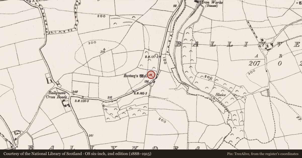 Ordnance Survey six-inch map, 2nd edition (1888–1915) covering the location of Ritual site - holy well, Ballynora, County Cork, with a pin at the register's coordinates
