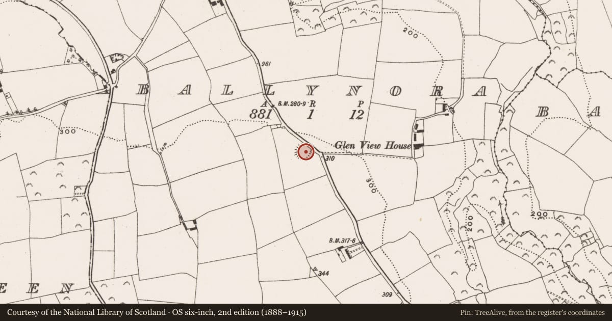 Ordnance Survey six-inch map, 2nd edition (1888–1915) covering the location of Ringfort - rath, Ballynora, County Cork, with a pin at the register's coordinates