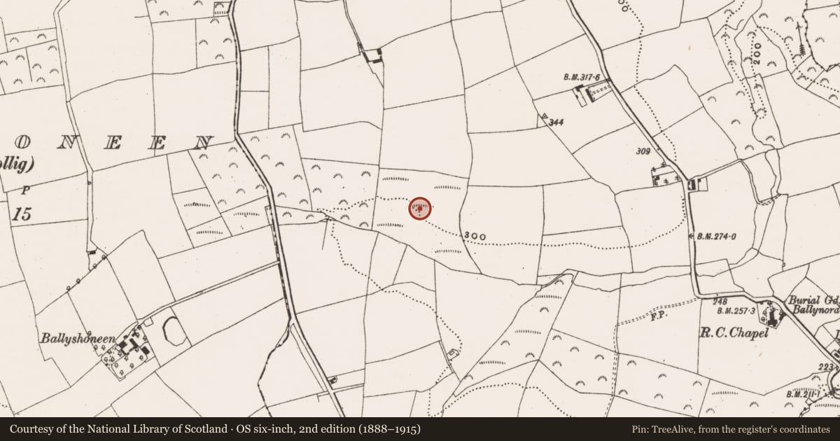 Ordnance Survey six-inch map, 2nd edition (1888–1915) covering the location of Fulacht fia, Ballynora, County Cork, with a pin at the register's coordinates