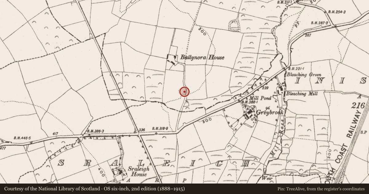 Ordnance Survey six-inch map, 2nd edition (1888–1915) covering the location of Ringfort - rath, Ballynora, County Cork, with a pin at the register's coordinates