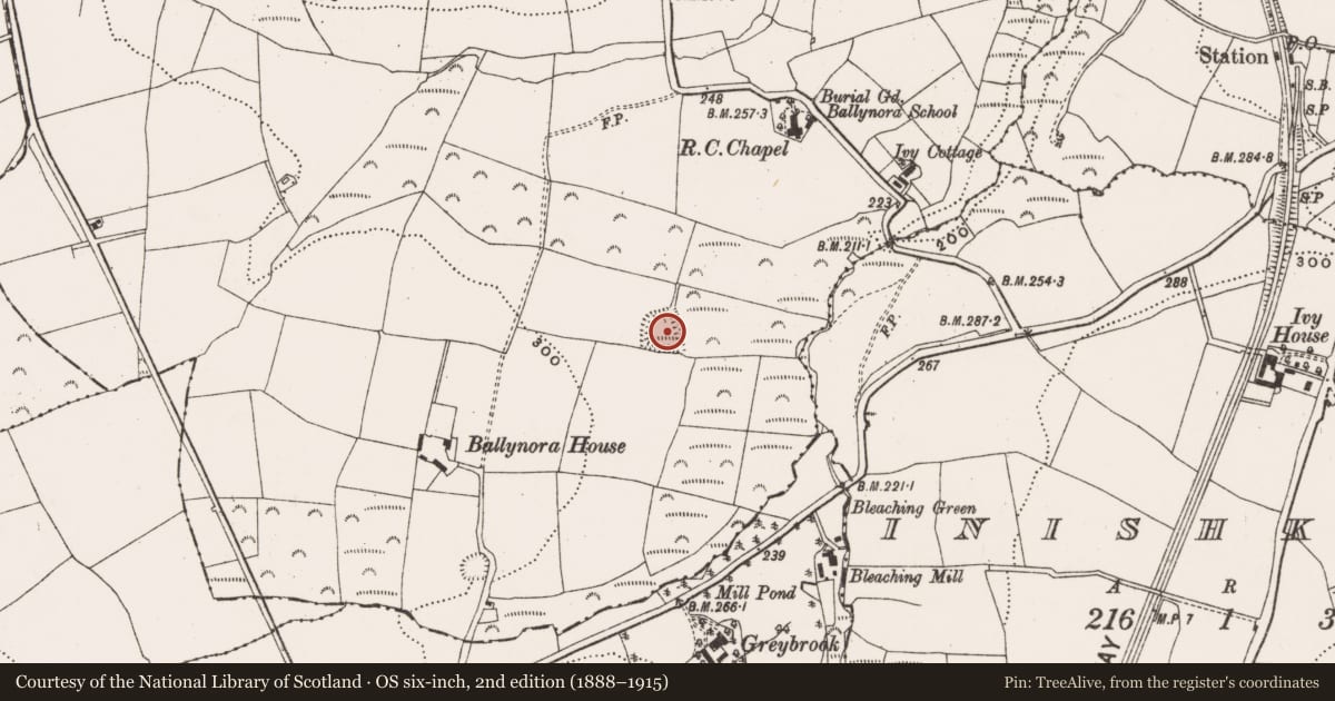 Ordnance Survey six-inch map, 2nd edition (1888–1915) covering the location of Enclosure, Ballynora, County Cork, with a pin at the register's coordinates