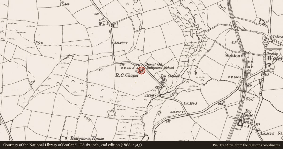 Ordnance Survey six-inch map, 2nd edition (1888–1915) covering the location of Church, Ballynora, County Cork, with a pin at the register's coordinates