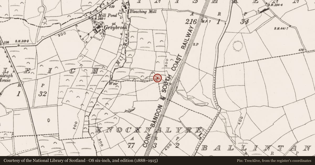 Ordnance Survey six-inch map, 2nd edition (1888–1915) covering the location of Fulacht fia, Inishkenny, County Cork, with a pin at the register's coordinates