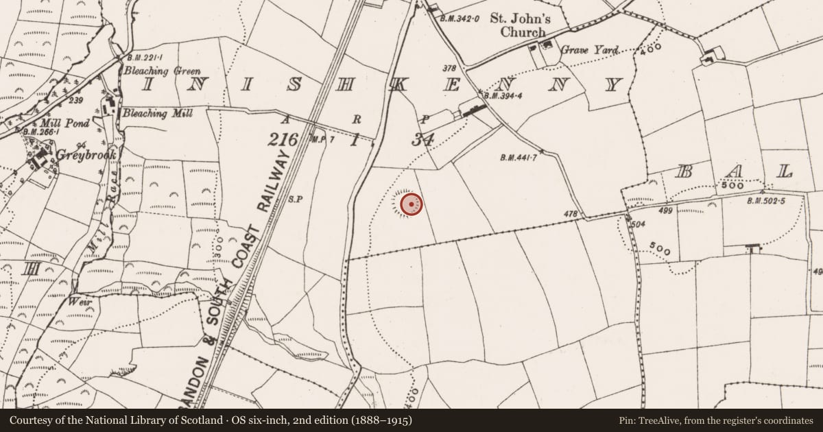 Ordnance Survey six-inch map, 2nd edition (1888–1915) covering the location of Ringfort - rath, Inishkenny, County Cork, with a pin at the register's coordinates