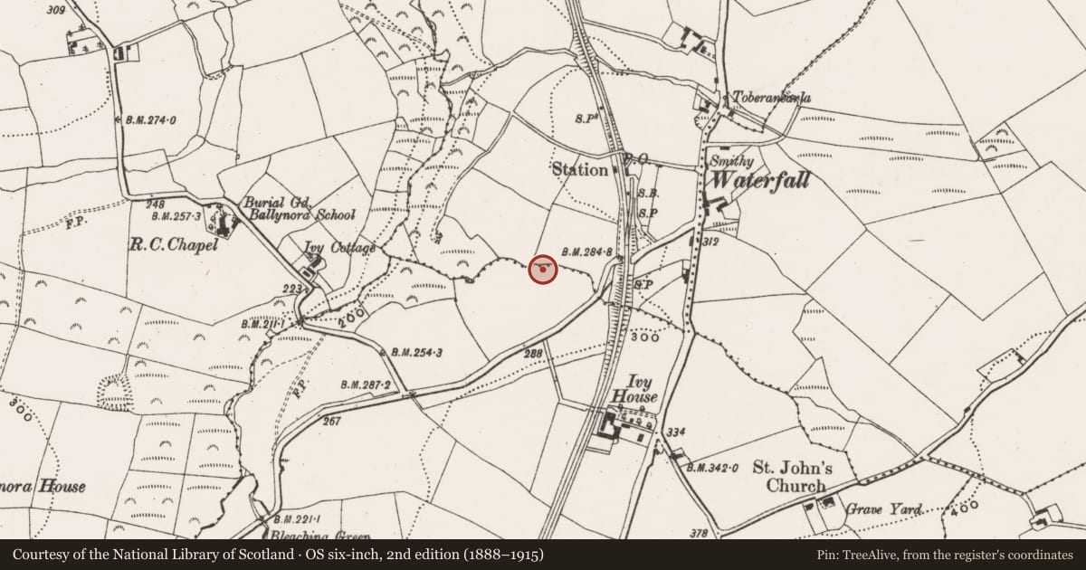 Ordnance Survey six-inch map, 2nd edition (1888–1915) covering the location of Fulacht fia, Inishkenny, County Cork, with a pin at the register's coordinates