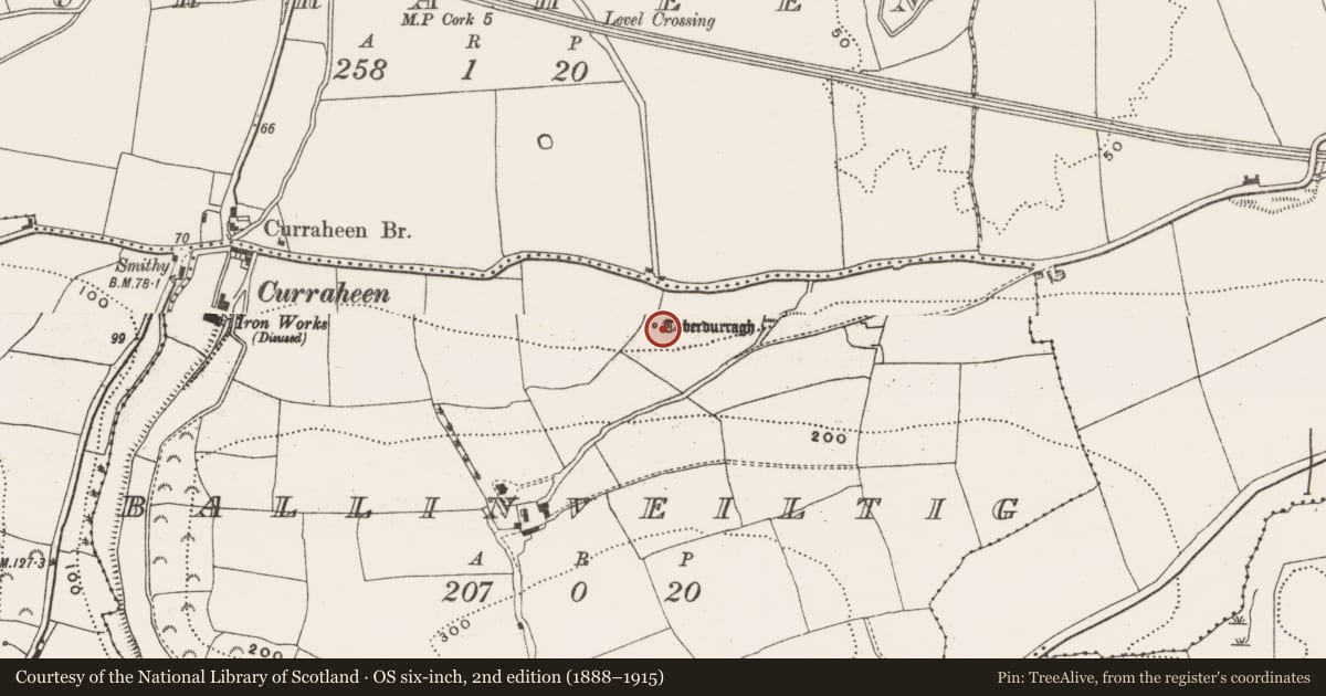 Ordnance Survey six-inch map, 2nd edition (1888–1915) covering the location of Ritual site - holy well, Ballinveiltig, County Cork, with a pin at the register's coordinates