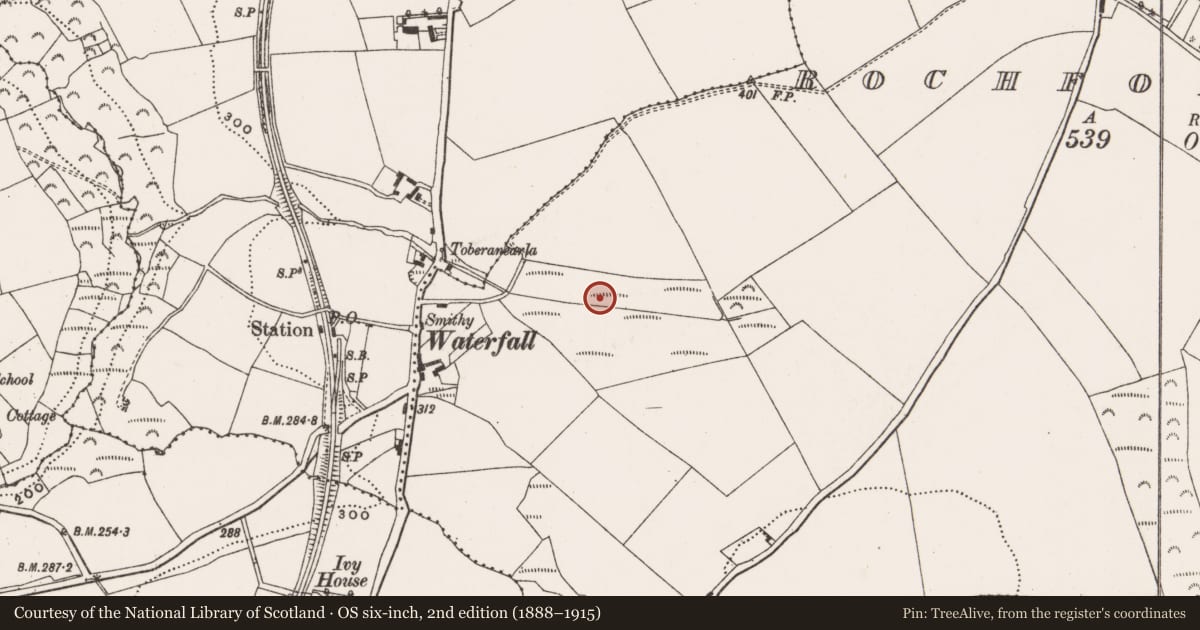 Ordnance Survey six-inch map, 2nd edition (1888–1915) covering the location of Fulacht fia, Rochfordstown, County Cork, with a pin at the register's coordinates