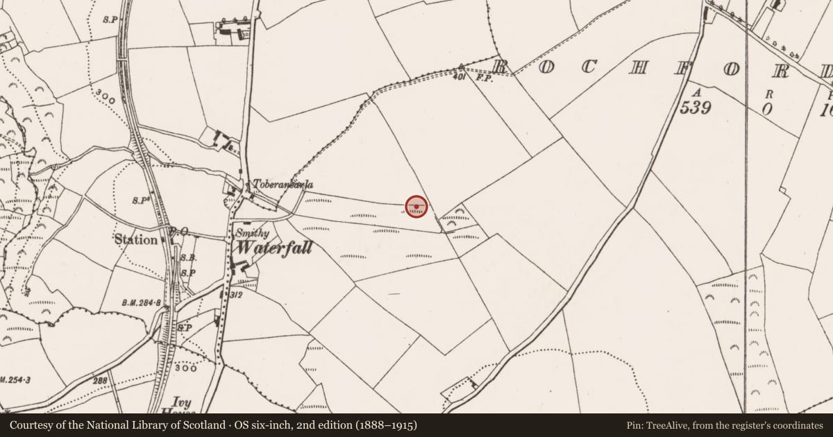 Ordnance Survey six-inch map, 2nd edition (1888–1915) covering the location of Fulacht fia, Rochfordstown, County Cork, with a pin at the register's coordinates