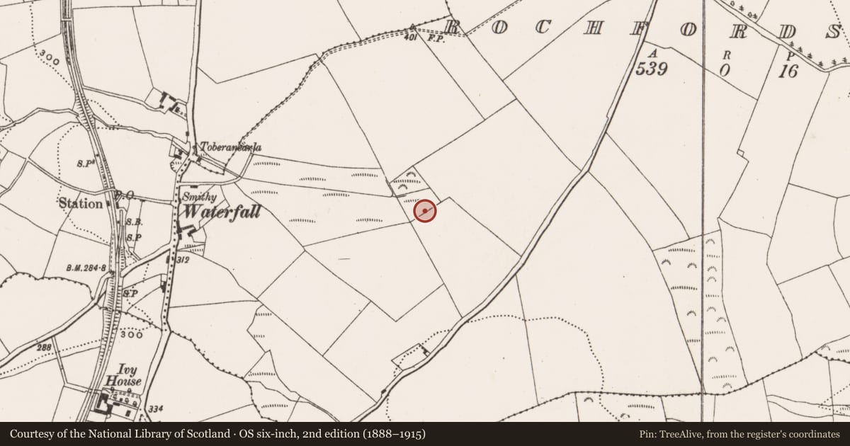 Ordnance Survey six-inch map, 2nd edition (1888–1915) covering the location of Fulacht fia, Rochfordstown, County Cork, with a pin at the register's coordinates