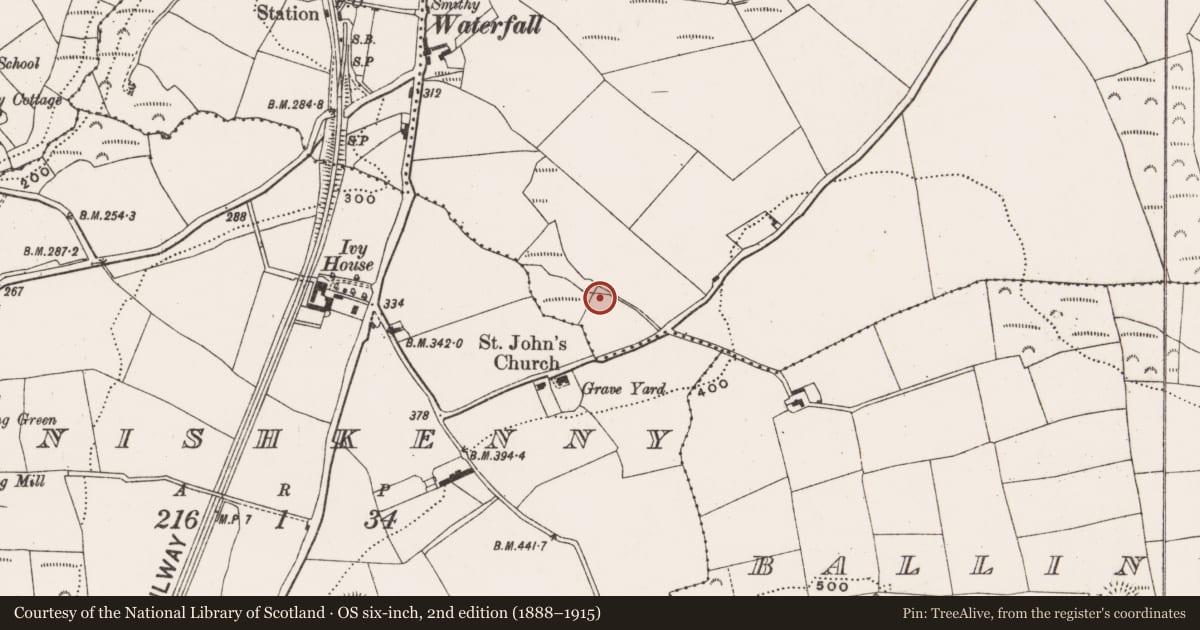 Ordnance Survey six-inch map, 2nd edition (1888–1915) covering the location of Fulacht fia, Rochfordstown, County Cork, with a pin at the register's coordinates
