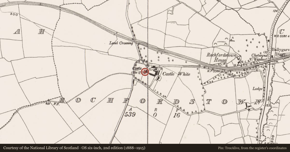 Ordnance Survey six-inch map, 2nd edition (1888–1915) covering the location of Castle - unclassified, Rochfordstown, County Cork, with a pin at the register's coordinates
