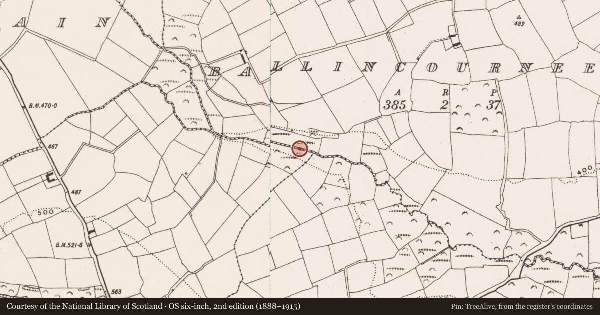 Ordnance Survey six-inch map, 2nd edition (1888–1915) covering the location of Fulacht fia, Ballincourneenig, County Cork, with a pin at the register's coordinates