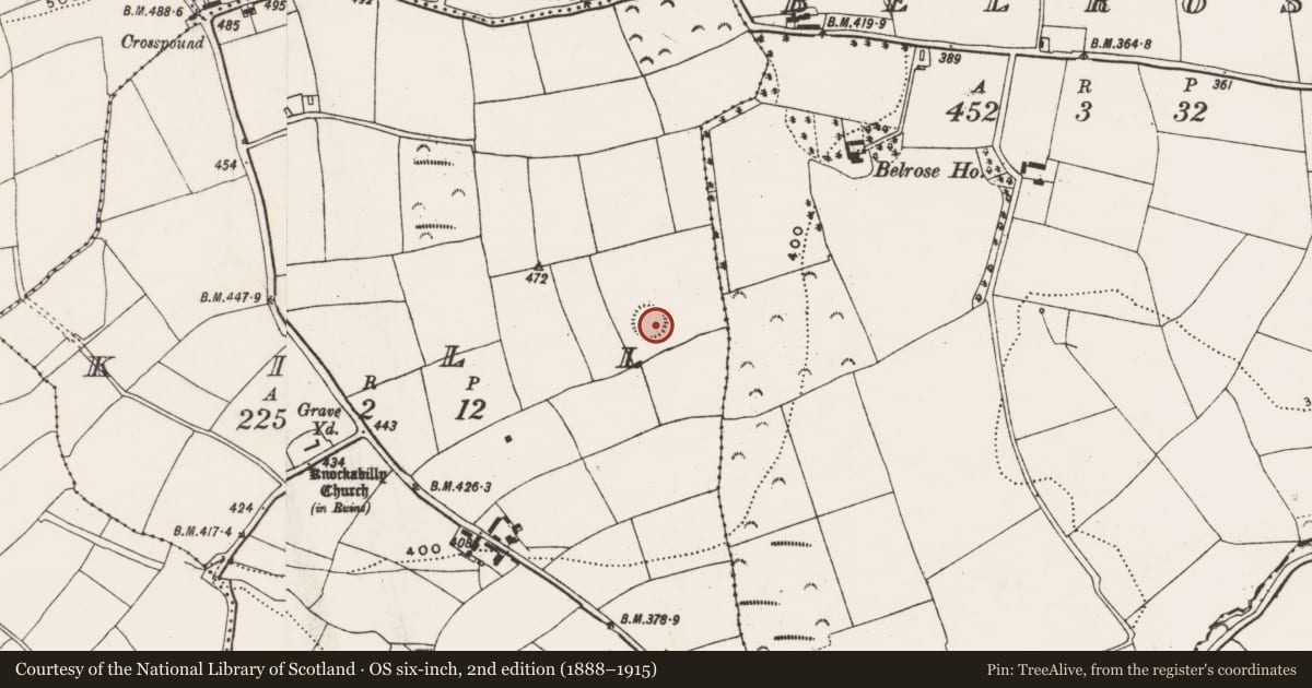 Ordnance Survey six-inch map, 2nd edition (1888–1915) covering the location of Ringfort - rath, Kill, County Cork, with a pin at the register's coordinates