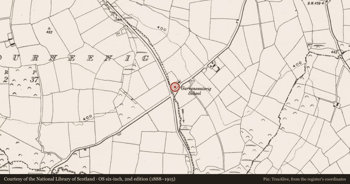 Ordnance Survey six-inch map, 2nd edition (1888–1915) covering the location of Fulacht fia, Garranewaterig, County Cork, with a pin at the register's coordinates
