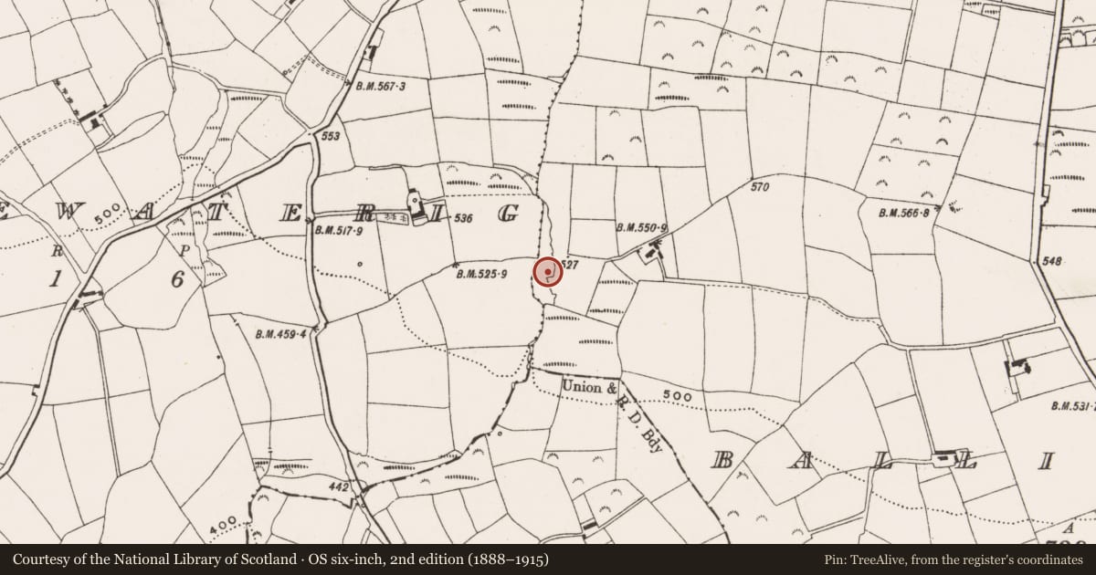 Ordnance Survey six-inch map, 2nd edition (1888–1915) covering the location of Fulacht fia, Ballinphellic, County Cork, with a pin at the register's coordinates