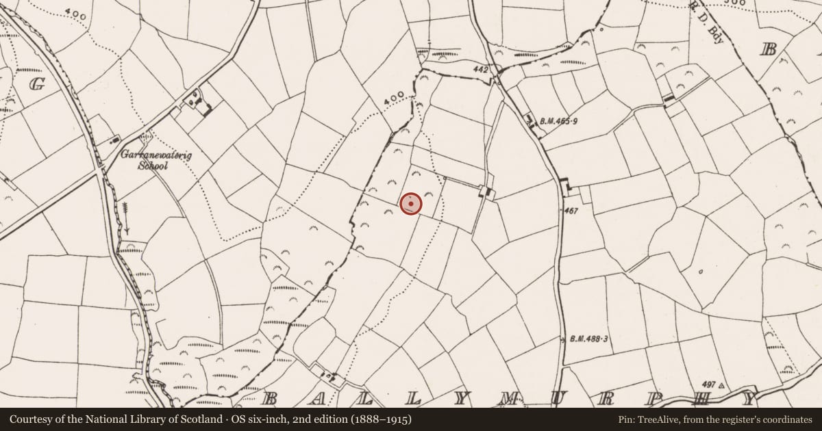 Ordnance Survey six-inch map, 2nd edition (1888–1915) covering the location of Fulacht fia, Ballymurphy North, County Cork, with a pin at the register's coordinates