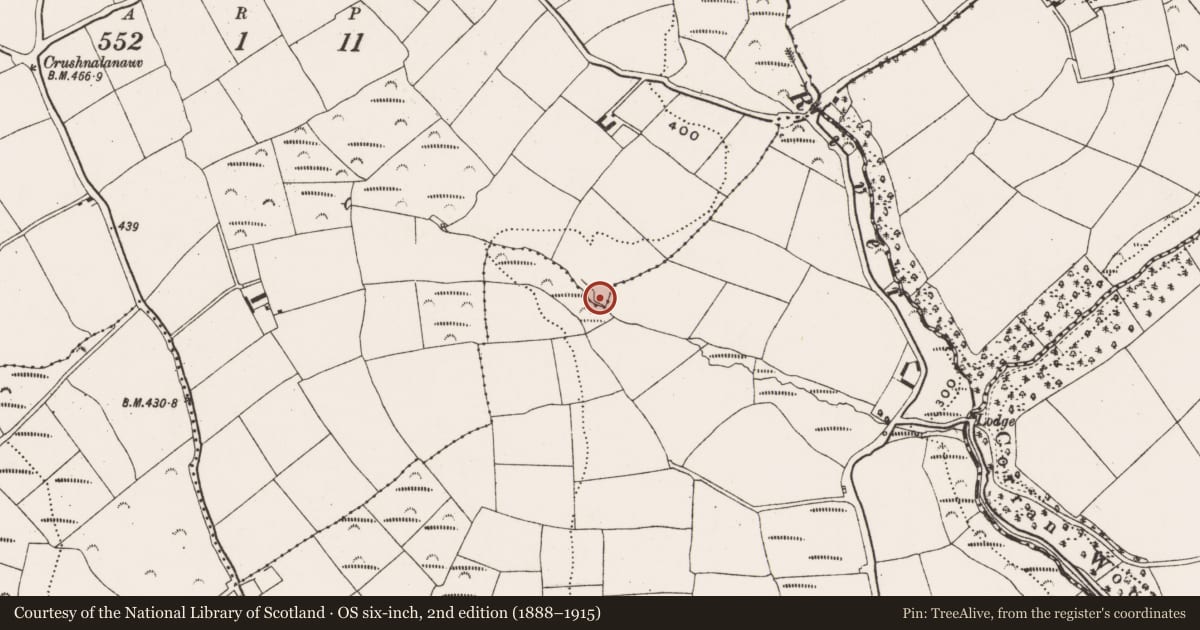 Ordnance Survey six-inch map, 2nd edition (1888–1915) covering the location of Fulacht fia, Ballymurphy North, County Cork, with a pin at the register's coordinates