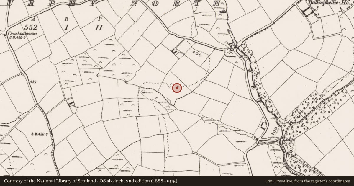 Ordnance Survey six-inch map, 2nd edition (1888–1915) covering the location of Ringfort - rath, Ballymurphy North, County Cork, with a pin at the register's coordinates