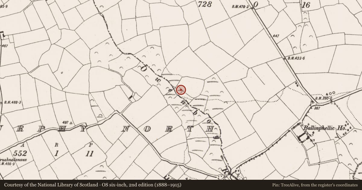 Ordnance Survey six-inch map, 2nd edition (1888–1915) covering the location of Fulacht fia, Ballinphellic, County Cork, with a pin at the register's coordinates