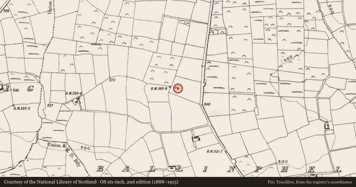 Ordnance Survey six-inch map, 2nd edition (1888–1915) covering the location of Kiln - lime, Ballinphellic, County Cork, with a pin at the register's coordinates
