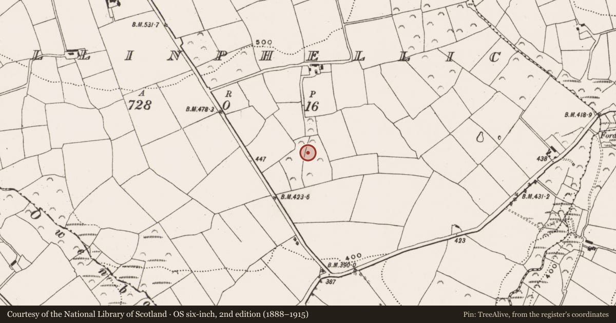 Ordnance Survey six-inch map, 2nd edition (1888–1915) covering the location of Fulacht fia, Ballinphellic, County Cork, with a pin at the register's coordinates