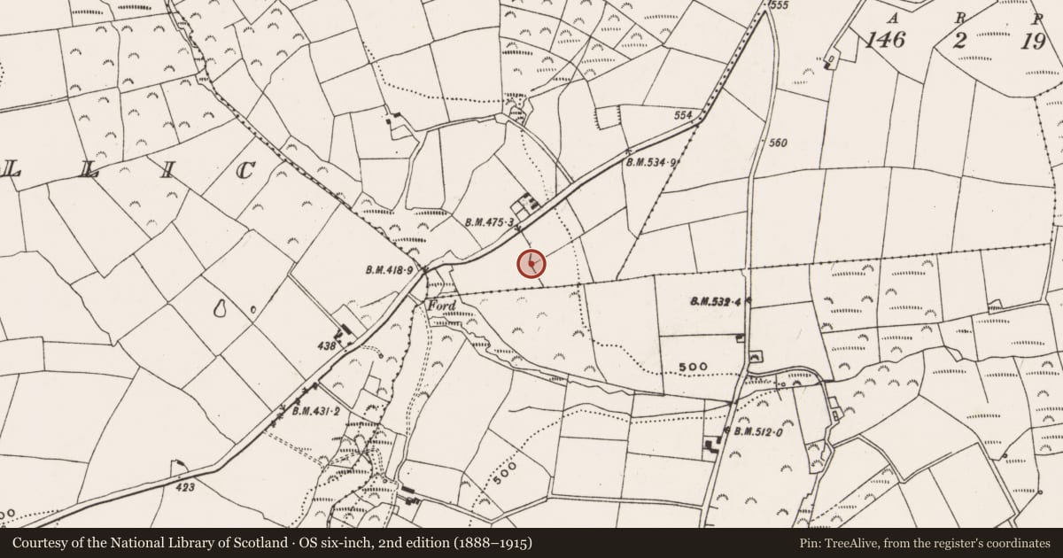 Ordnance Survey six-inch map, 2nd edition (1888–1915) covering the location of Ringfort - rath, Ballyhank, County Cork, with a pin at the register's coordinates