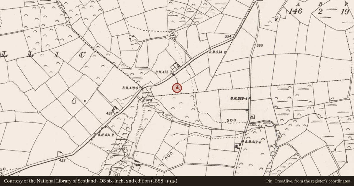 Ordnance Survey six-inch map, 2nd edition (1888–1915) covering the location of Souterrain, Ballyhank, County Cork, with a pin at the register's coordinates