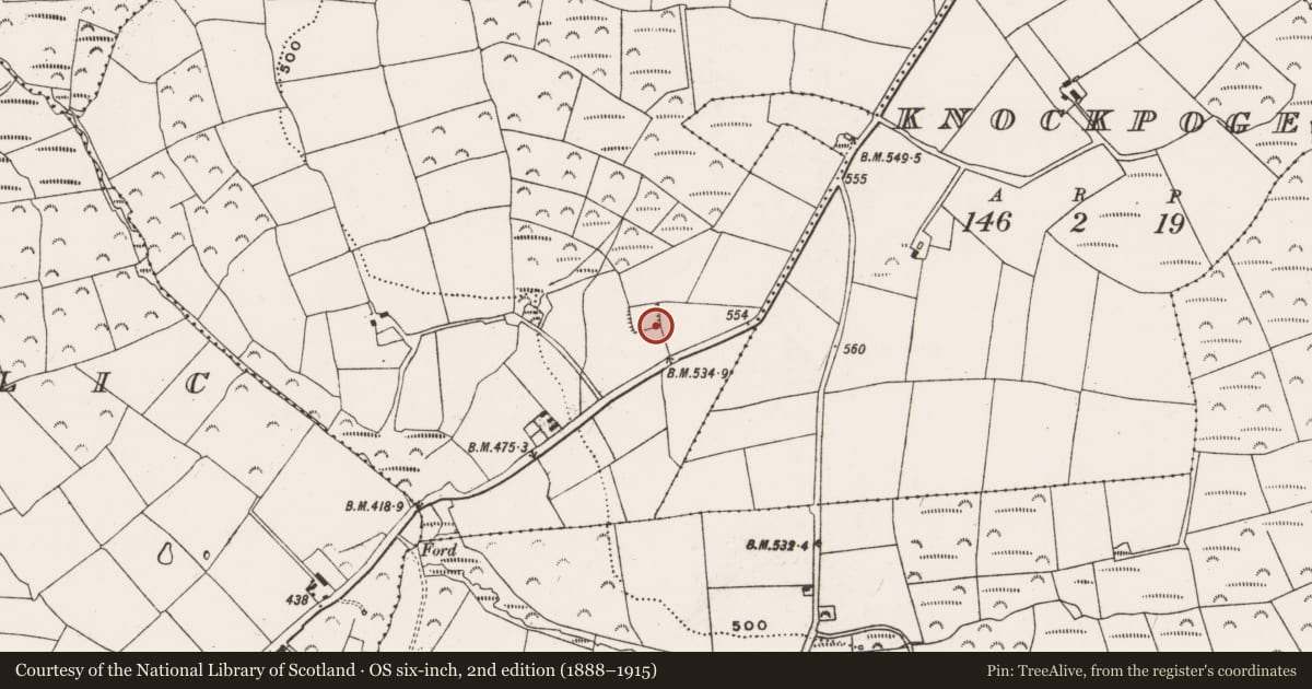 Ordnance Survey six-inch map, 2nd edition (1888–1915) covering the location of Moated site, Ballyhank, County Cork, with a pin at the register's coordinates