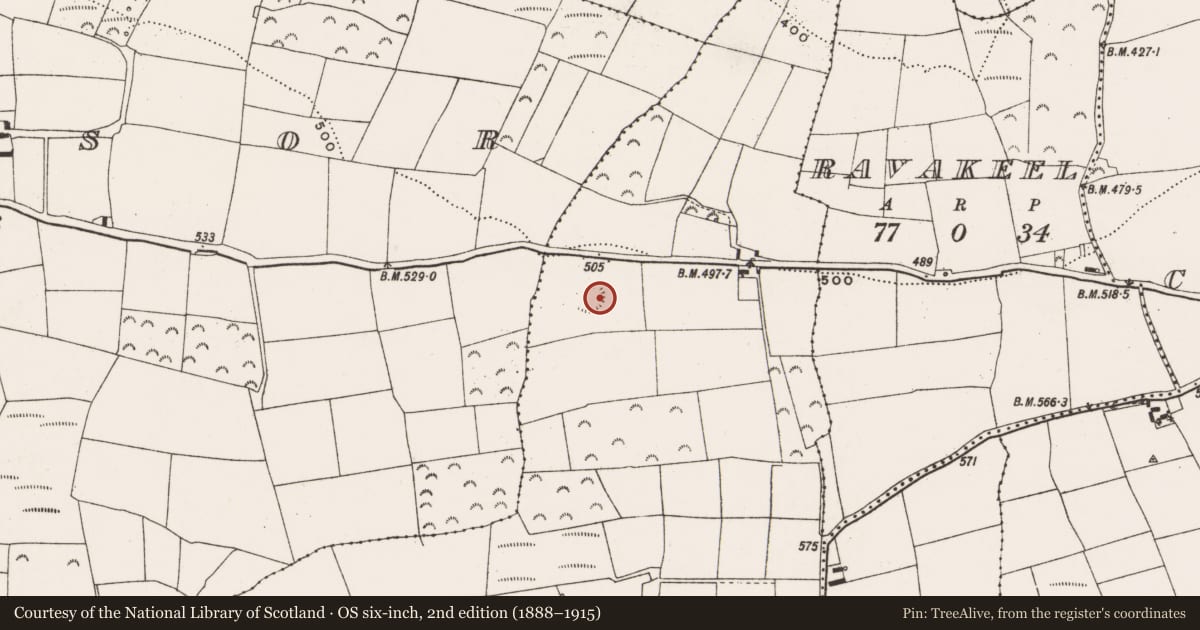 Ordnance Survey six-inch map, 2nd edition (1888–1915) covering the location of Ringfort - rath, Ballyhank, County Cork, with a pin at the register's coordinates