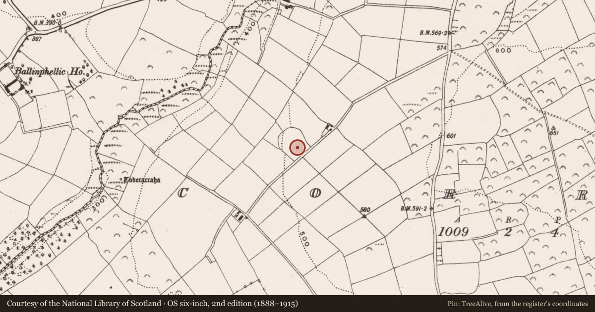 Ordnance Survey six-inch map, 2nd edition (1888–1915) covering the location of Enclosure, Corran, County Cork, with a pin at the register's coordinates