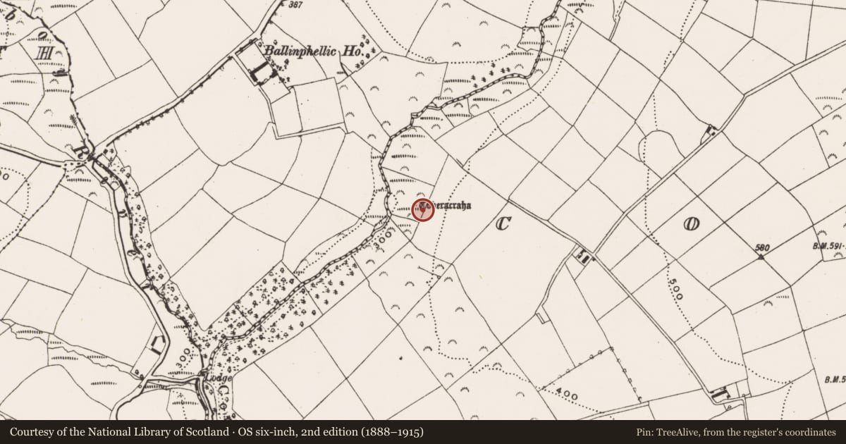 Ordnance Survey six-inch map, 2nd edition (1888–1915) covering the location of Ritual site - holy well, Corran, County Cork, with a pin at the register's coordinates