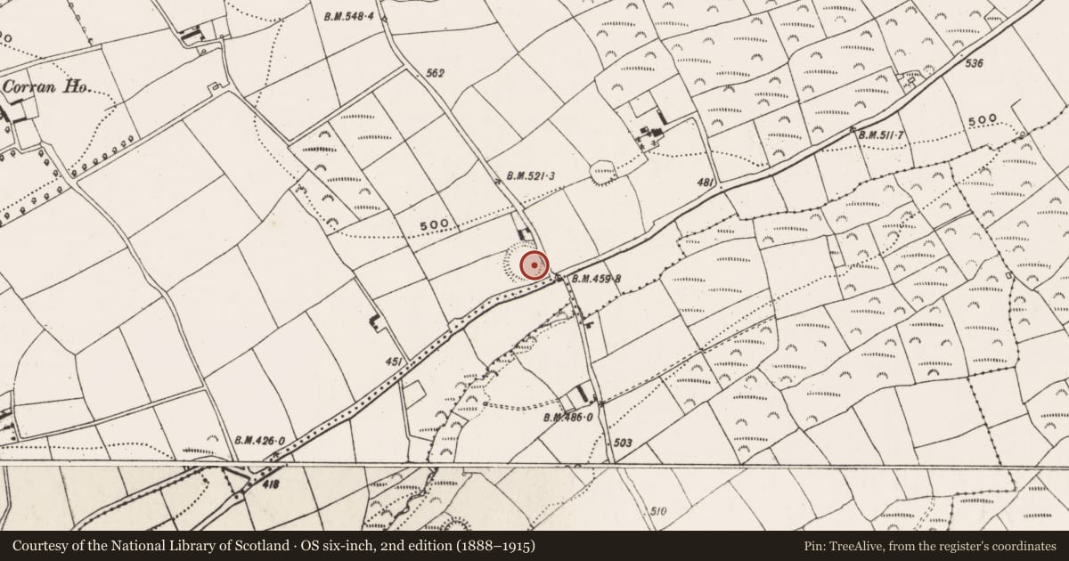 Ordnance Survey six-inch map, 2nd edition (1888–1915) covering the location of Ringfort - rath, Corran, County Cork, with a pin at the register's coordinates