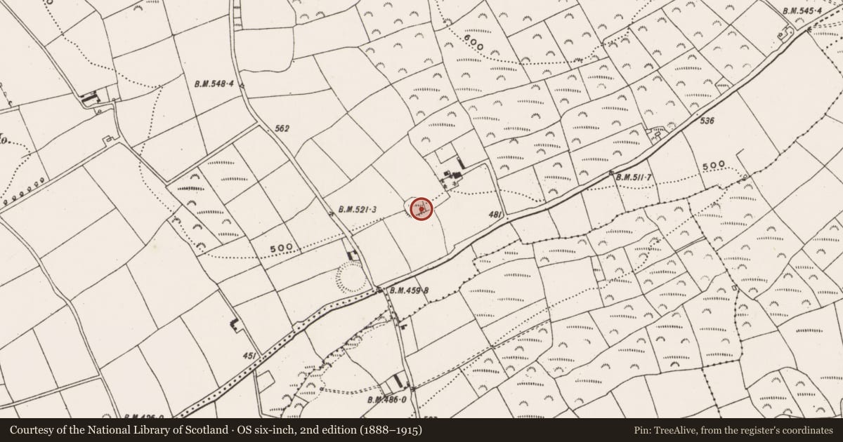 Ordnance Survey six-inch map, 2nd edition (1888–1915) covering the location of Ringfort - rath, Corran, County Cork, with a pin at the register's coordinates
